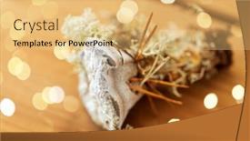  Presentation with fungus - Cool new PPT theme with nature-inedible-mushrooms-and-environment backdrop and a yellow colored foreground