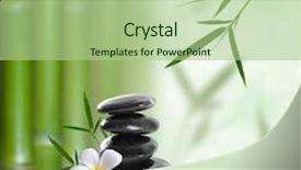  Presentation with bamboo - Theme with japan life - beautiful bamboo border bamboo background and a mint green colored foreground