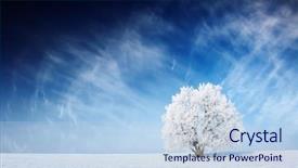 Presentation with blue sky - Slide set consisting of nature land - alone frozen tree in field background and a sky blue colored foreground