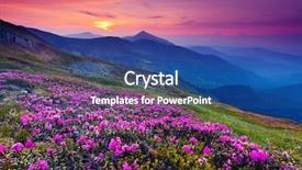  Presentation with summer flowers - Presentation featuring nature land - magic pink rhododendron flowers background and a ocean colored foreground