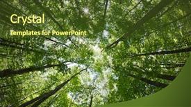  Presentation with lens - Slide set having nature land - spring forest treetops intentionally distorted background and a tawny brown colored foreground