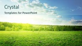  Presentation with forest - Presentation theme having nature land - sunset in spring forest background and a  colored foreground