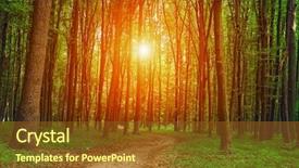  Presentation with abstract green forest - Colorful presentation design enhanced with nature landscape - beautiful green forest backdrop and a  colored foreground