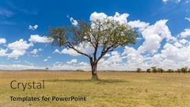  Presentation with savannah - Audience pleasing PPT layouts consisting of nature landscape and wildlife concept - acacia tree in maasai mara national reserve savannah at africa backdrop and a gold colored foreground
