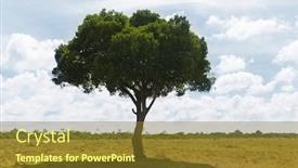  Presentation with savannah - Slide set having nature landscape and wildlife concept - acacia tree in maasai mara national reserve savannah at africa background and a tawny brown colored foreground