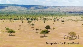  Presentation with savannah - Beautiful slide set featuring nature landscape environment and wildlife concept - acacia trees in maasai mara national reserve savannah at africa backdrop and a coral colored foreground