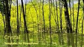  Presentation with west - Colorful slide deck enhanced with nature-landscape-in-temperate-area backdrop and a tawny brown colored foreground