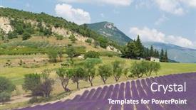  Presentation with lavender - Presentation theme consisting of nature landscape in the french drome with blooming lavender background and a gray colored foreground