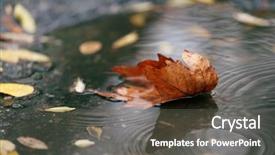  Presentation with autumn - Colorful slides enhanced with background nature - autumn leaf in puddle backdrop and a gray colored foreground