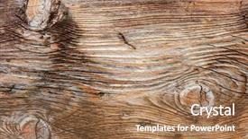  Presentation with timber wood wood texture wood - Audience pleasing slide set consisting of nature lumber - texture of wood surface backdrop and a coral colored foreground