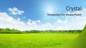  Presentation with perfect - Colorful PPT theme enhanced with nature meadow - field of spring flowers backdrop and a light blue colored foreground