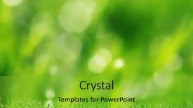  Presentation with green nature - Audience pleasing theme consisting of nature meadow - natural green background with selective backdrop and a shamrock green colored foreground