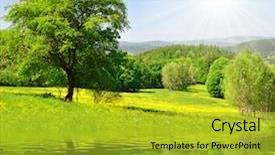  Presentation with czech republic - Beautiful theme featuring overweight man pinches the excess fat that he has around his waist backdrop and a lemonade colored foreground