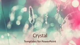  Presentation with meadow - Audience pleasing presentation theme consisting of nature meadow - sunny autumn grassland backdrop and a lemonade colored foreground