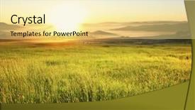  Presentation with rural - Audience pleasing presentation theme consisting of nature meadow - sunrise in green rural field backdrop and a blonde colored foreground