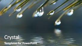  Presentation with water drops - Cool new theme with nature meadow - water drops reflected backdrop and a dark gray colored foreground