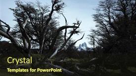  Presentation with nature - Slides featuring nature-of-patagonia-dark-dead and a wine colored foreground