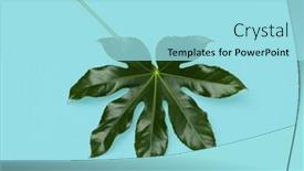  Presentation with green nature - PPT theme enhanced with nature-organic-and-botany-concept background and a arctic colored foreground