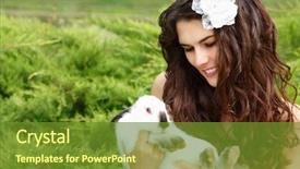  Presentation with bride - Presentation theme consisting of nature outdoor alice in wonderland background and a tawny brown colored foreground