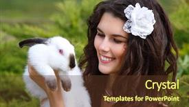  Presentation with alice in wonderland - Colorful presentation design enhanced with nature outdoor alice in wonderland backdrop and a tawny brown colored foreground