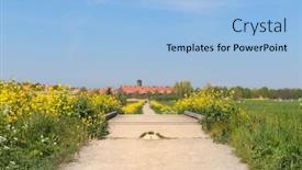  Presentation with seed - PPT theme having nature-path-with-rape-seed background and a light blue colored foreground