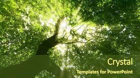  Presentation with paths - Presentation theme enhanced with nature pathway in the forest background and a tawny brown colored foreground