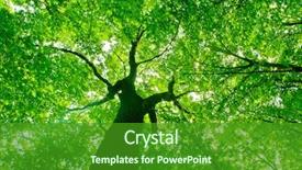  Presentation with pathway - Audience pleasing slides consisting of nature pathway in the forest backdrop and a forest green colored foreground