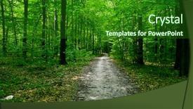  Presentation with pathway - Slide deck with nature pathway in the forest with sunlight background and a forest green colored foreground