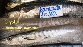  Presentation with thai pongal - Colorful slide deck enhanced with nature people retail marketing - barakuda with a price tag backdrop and a  colored foreground