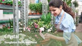  Presentation with greenhouse - Colorful PPT theme enhanced with nature people retail marketing - beautiful woman florist taking care backdrop and a seafoam green colored foreground