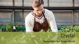  Presentation with apron - Presentation theme featuring nature people retail marketing - concentrated man gardener in brown background and a yellow colored foreground