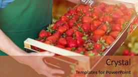  Presentation with fresh lettuce strawberries blueberries mushroom - Slide set enhanced with nature people retail marketing - shop assistant holding box background and a red colored foreground