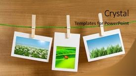  Presentation with nature - PPT layouts having nature photos in picture frames background and a red colored foreground