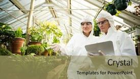  Presentation with plants - Beautiful slide deck featuring examining potted plants at greenhouse backdrop and a coral colored foreground