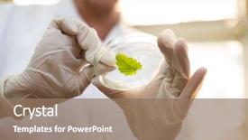  Presentation with petri dish - Colorful PPT theme enhanced with  backdrop and a  colored foreground