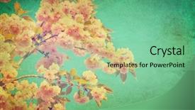  Presentation with beautiful spring flowers - PPT layouts consisting of blossom vintage background beautiful nature background and a seafoam green colored foreground