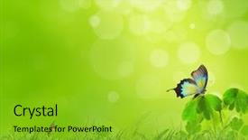  Presentation with scenery - Slide deck consisting of nature scenery background and a shamrock green colored foreground