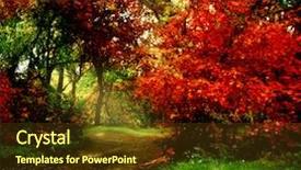  Presentation with park - PPT layouts having nature scenes - trees in autumn park background and a tawny brown colored foreground