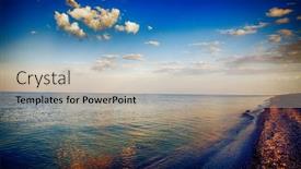  Presentation with seagull - 