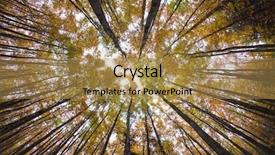  Presentation with thorn forest - Theme enhanced with nature shots - autumn forest treetops intentionally distorted background and a gold colored foreground