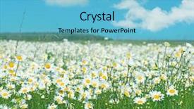  Presentation with baseball field of dreams - Audience pleasing theme consisting of nature sky daisies grass - camomile field backdrop and a  colored foreground