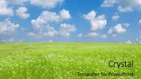  Presentation with field - Slides featuring christmas background nuts dried oranges spices and gingerbread cookies viewed from above background and a sky blue colored foreground