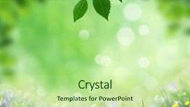  Presentation with spring - Cool new slide deck with nature sky daisies grass - spring background backdrop and a  colored foreground