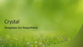  Presentation with watercolor summer floral - Colorful PPT theme enhanced with nature sky daisies grass - summer background backdrop and a yellow colored foreground