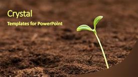  Presentation with green life - PPT theme consisting of planting seeds - green seedling illustrating concept background and a tawny brown colored foreground