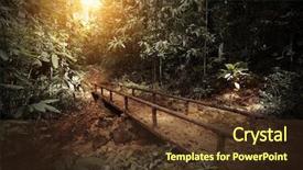  Presentation with dark forest - Audience pleasing theme consisting of walkway in a dark and wild tropical forest backdrop and a tawny brown colored foreground