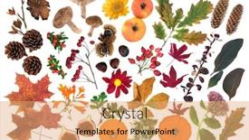  Presentation with food festival - Amazing slide set having nature-study-in-autumn backdrop and a coral colored foreground