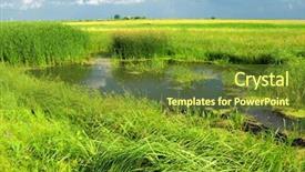  Presentation with swamp - Cool new presentation theme with nature swamp - bog backdrop and a tawny brown colored foreground