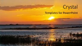  Presentation with honeymoon france - Amazing PPT layouts having nature swamp - camargue provence france backdrop and a gold colored foreground