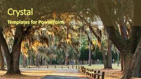  Presentation with swamp - Slide deck featuring nature swamp - trees tunnel background and a tawny brown colored foreground